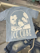 T shirt ice