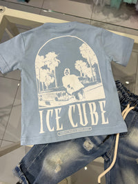 T shirt ice