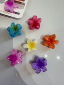 Set mollette colorate 6 pezzi