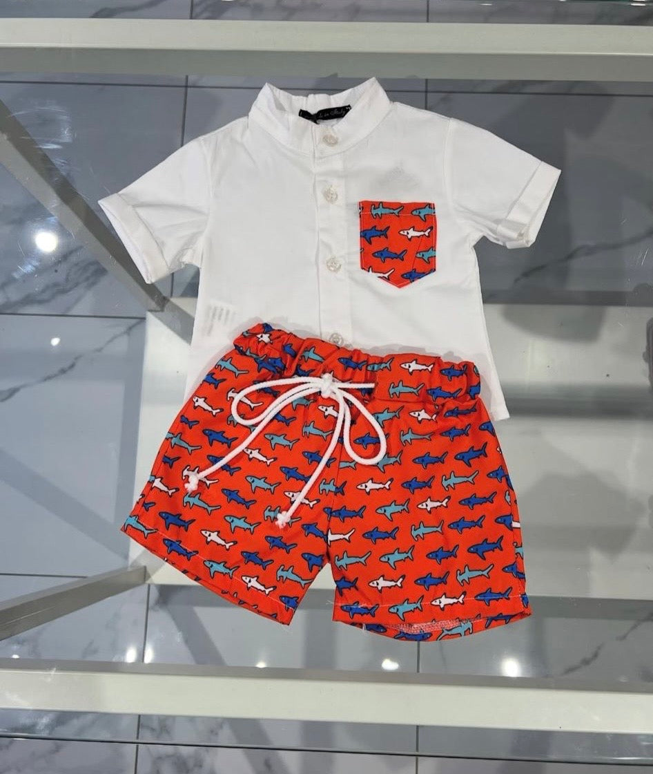 Costume e camicia