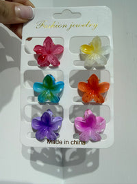 Set mollette colorate 6 pezzi
